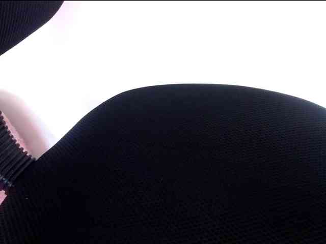 Wilhelmina webcam