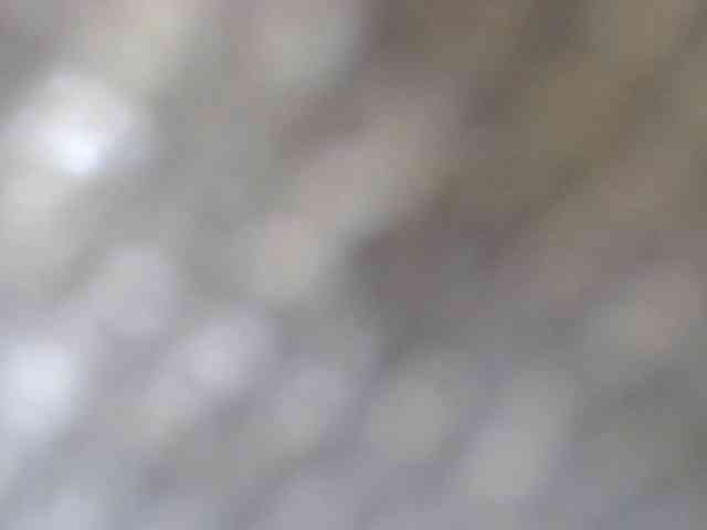 Wilhelmina webcam
