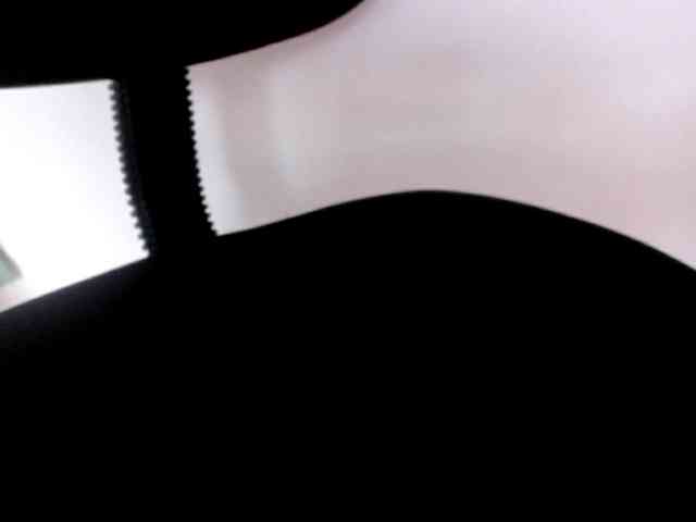 Wilhelmina webcam
