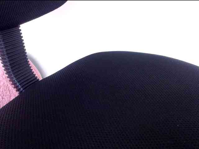 Wilhelmina webcam