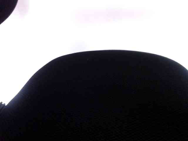 Wilhelmina webcam