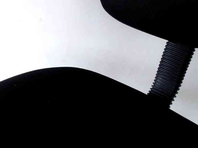 Wilhelmina webcam