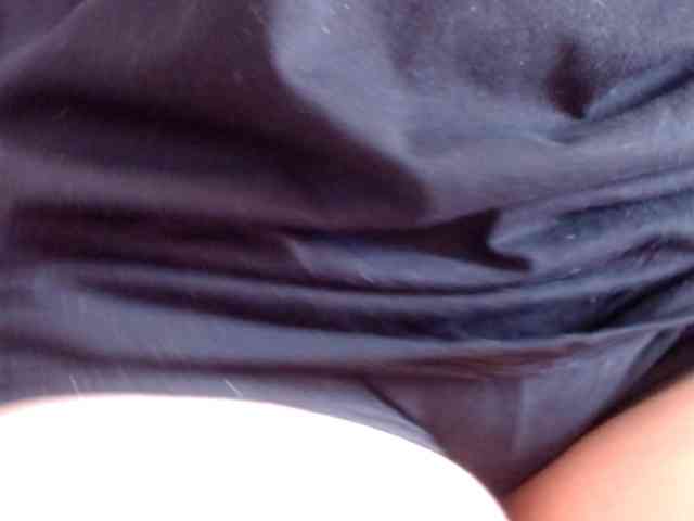 Wilhelmina webcam