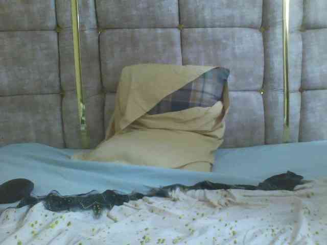 Beauty-Queen1 webcam