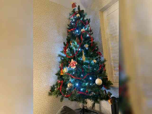 anastasiapocky1 webcam