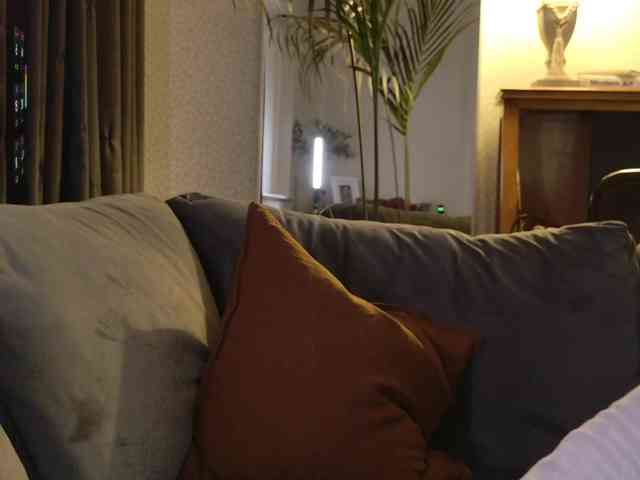 anastasiapocky1 webcam