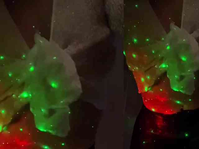 anastasiapocky1 webcam