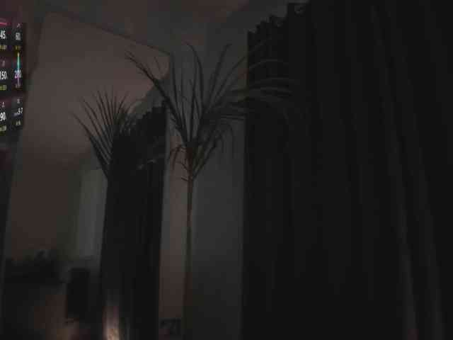 anastasiapocky1 anastasiapocky1