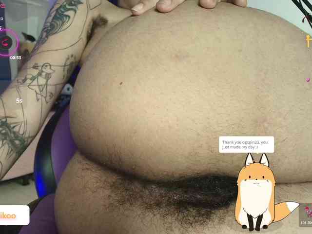 Kittyaikoo webcam
