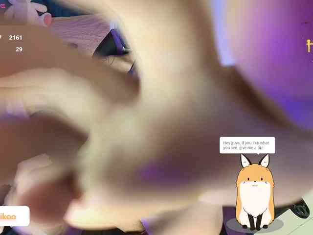 Kittyaikoo webcam