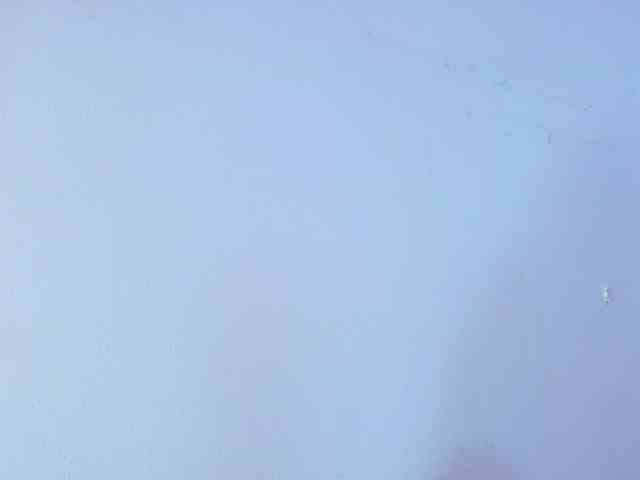 AliceRed webcam