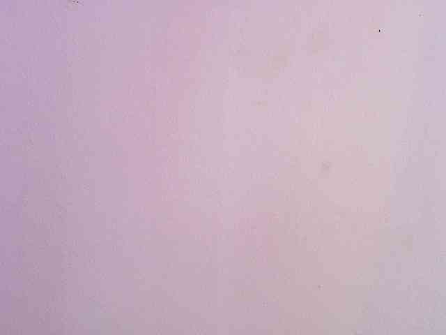 AliceRed Live Webcam on BongaCams