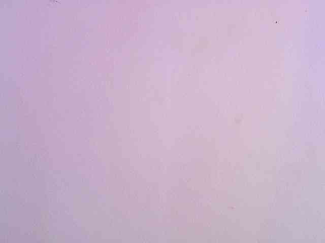 AliceRed webcam