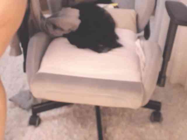 Victoria2025 webcam