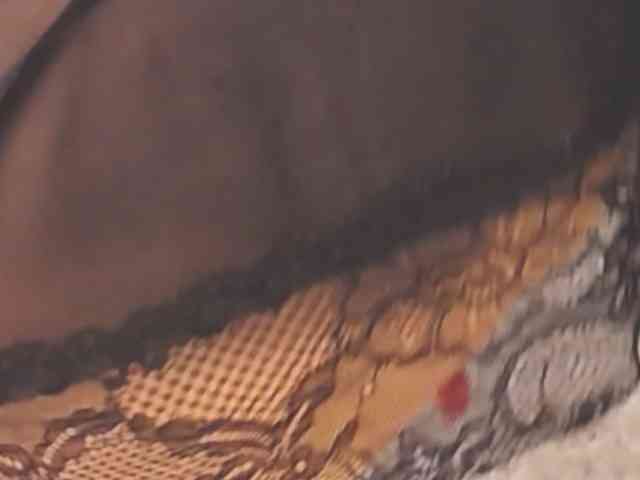 Victoria2025 Victoria2025