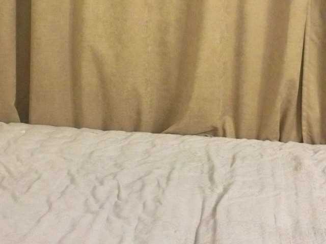 Preview of enricaelis