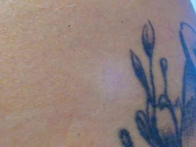 Marianadeepthoat webcam