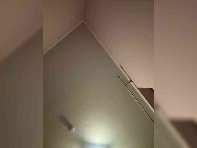 elegancycouple webcam