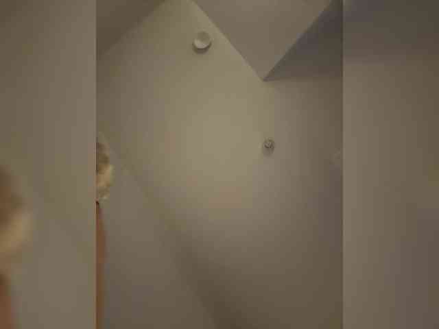 elegancycouple webcam