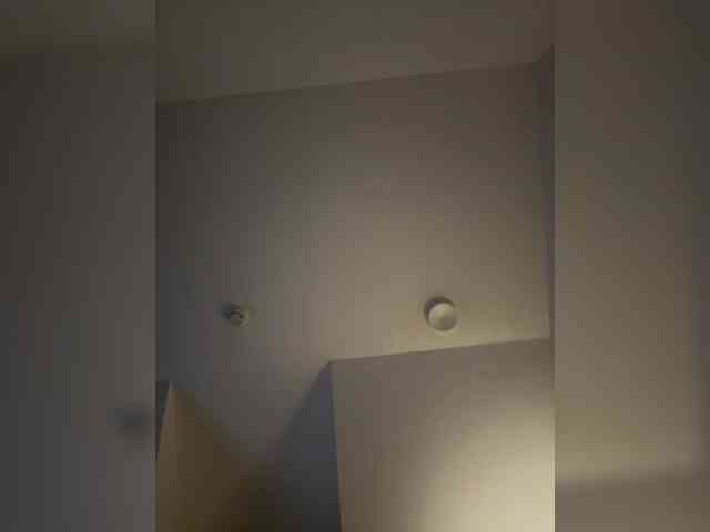 elegancycouple webcam