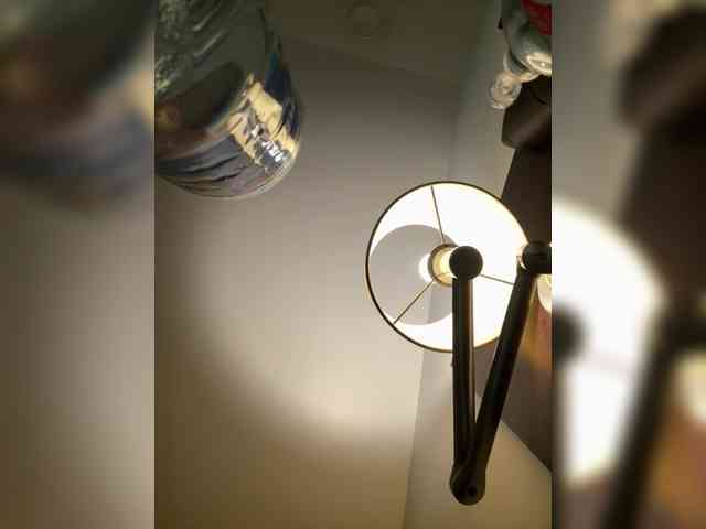 elegancycouple webcam