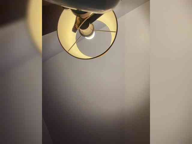 elegancycouple webcam