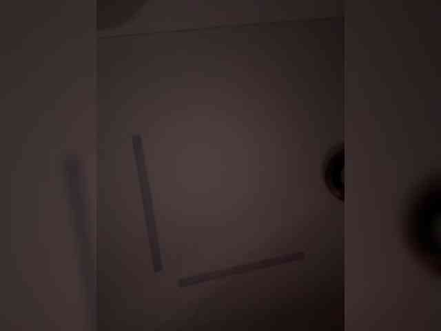 elegancycouple webcam