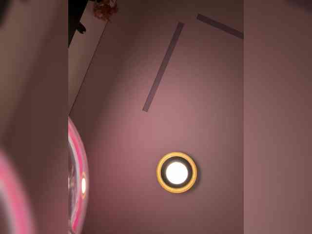 elegancycouple webcam