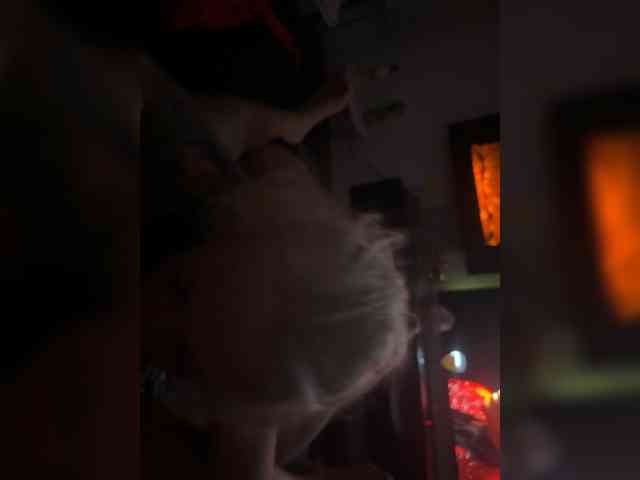 elegancycouple webcam