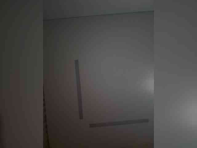 elegancycouple webcam