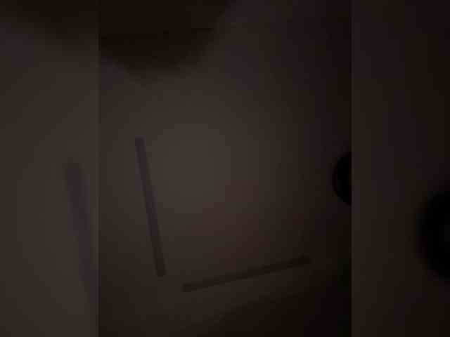 elegancycouple webcam