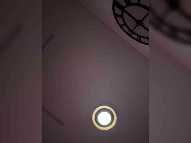 elegancycouple webcam