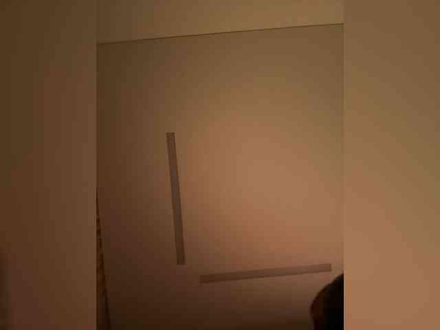 elegancycouple webcam