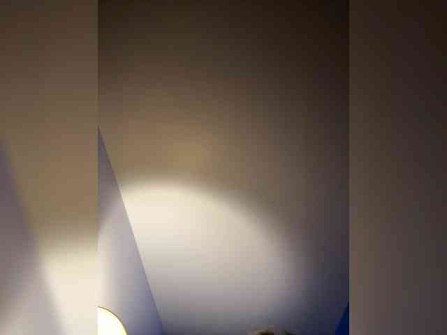 elegancycouple elegancycouple