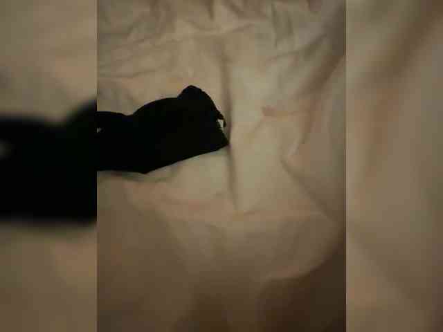 elegancycouple webcam