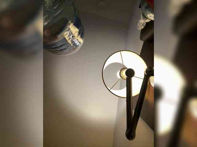 elegancycouple webcam