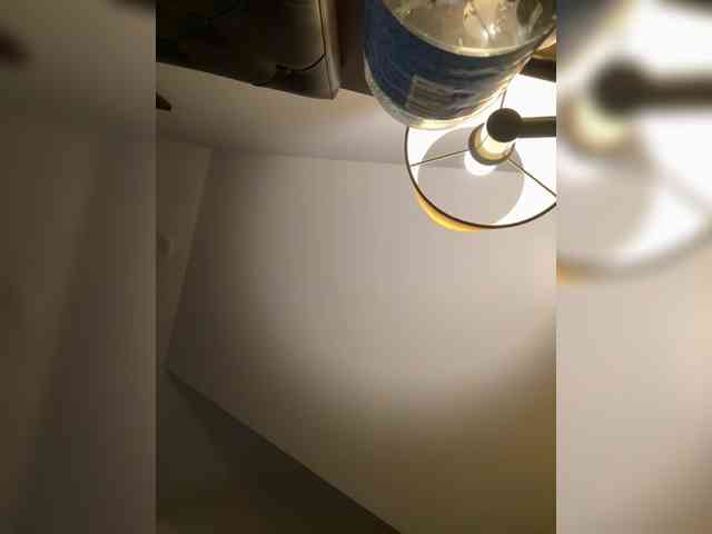 elegancycouple elegancycouple