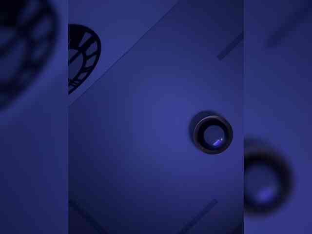 elegancycouple webcam