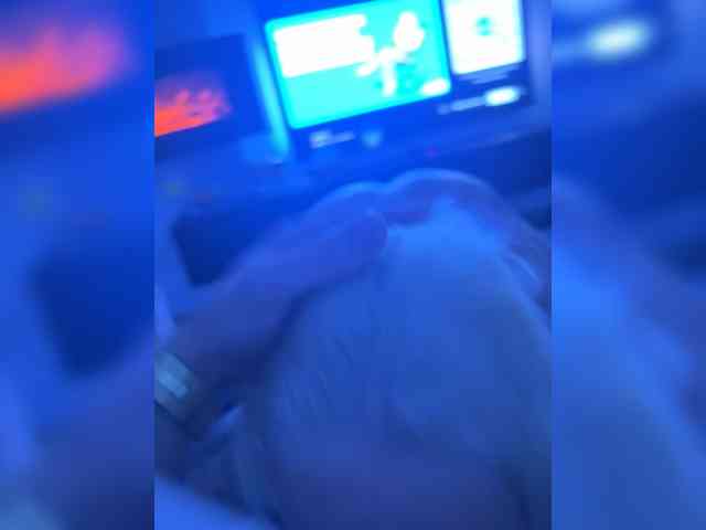 elegancycouple webcam