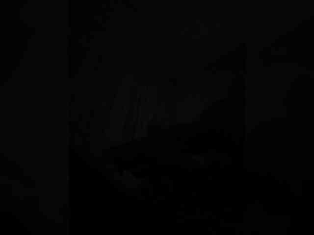 elegancycouple webcam