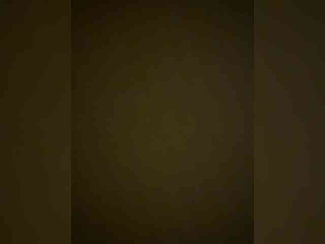 elegancycouple elegancycouple