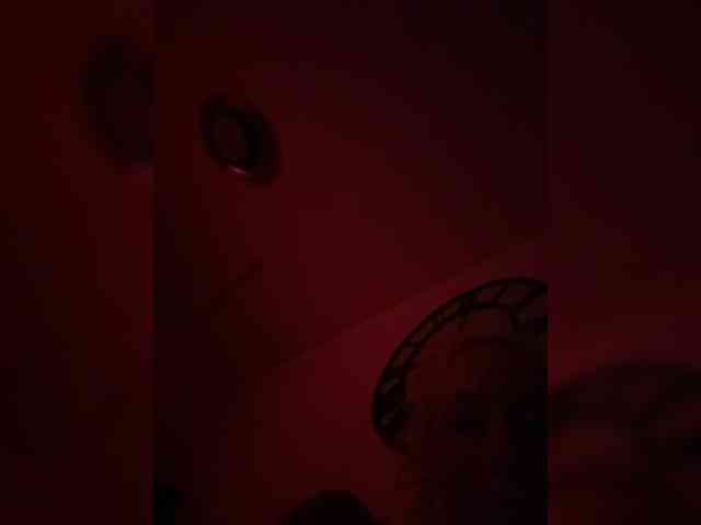 elegancycouple elegancycouple