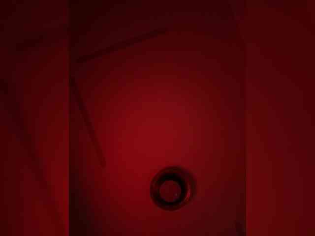 elegancycouple webcam