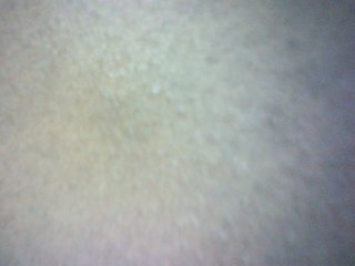 Avrilhunt Porn Show