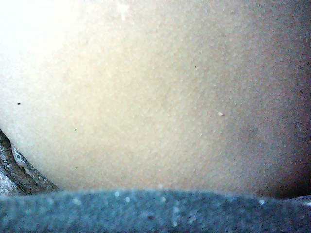 Preview of avrilhunt