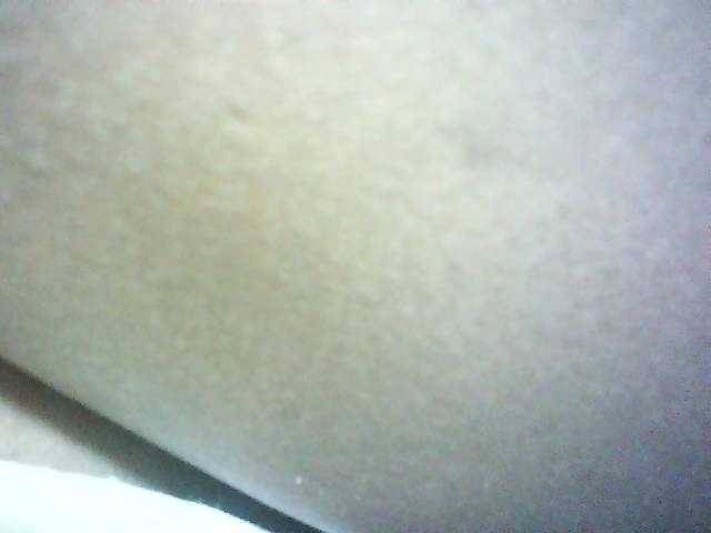 Preview of avrilhunt