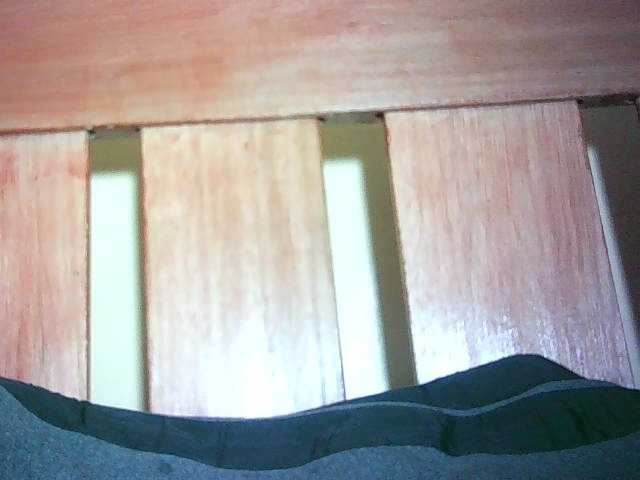 Preview of avrilhunt