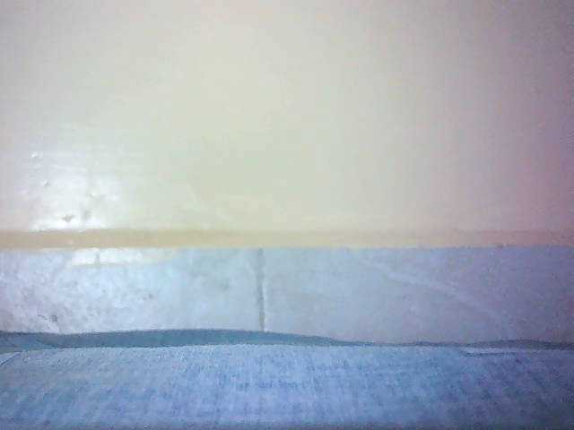 Preview of avrilhunt