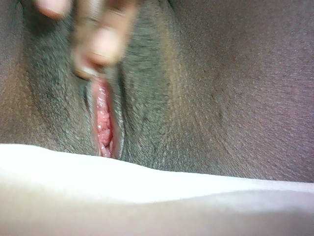 Preview of avrilhunt