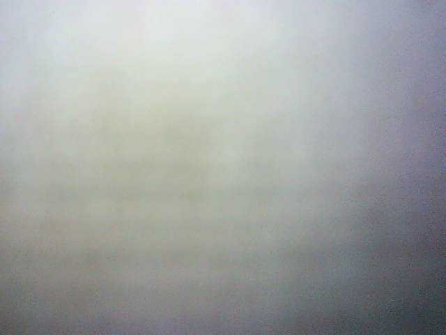 Preview of avrilhunt